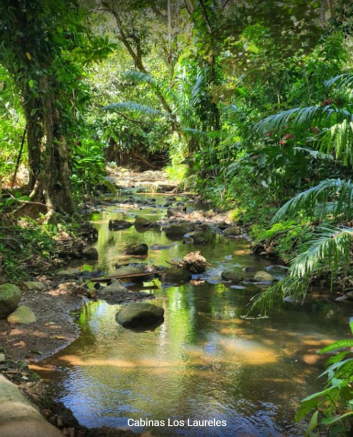 Laureles Collection Uvita - Cabinas Los Laureles Buitenkant foto